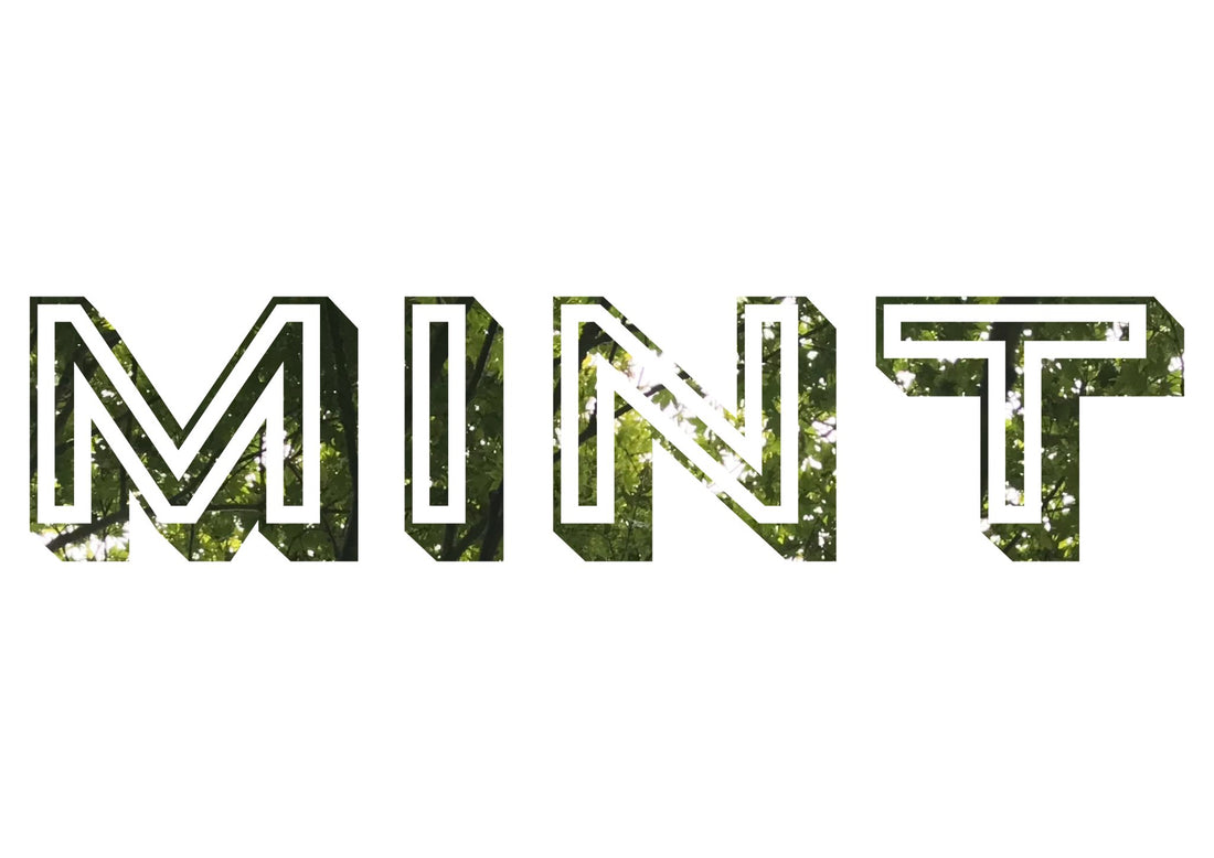 A sustainable business - Mint's eco credentials