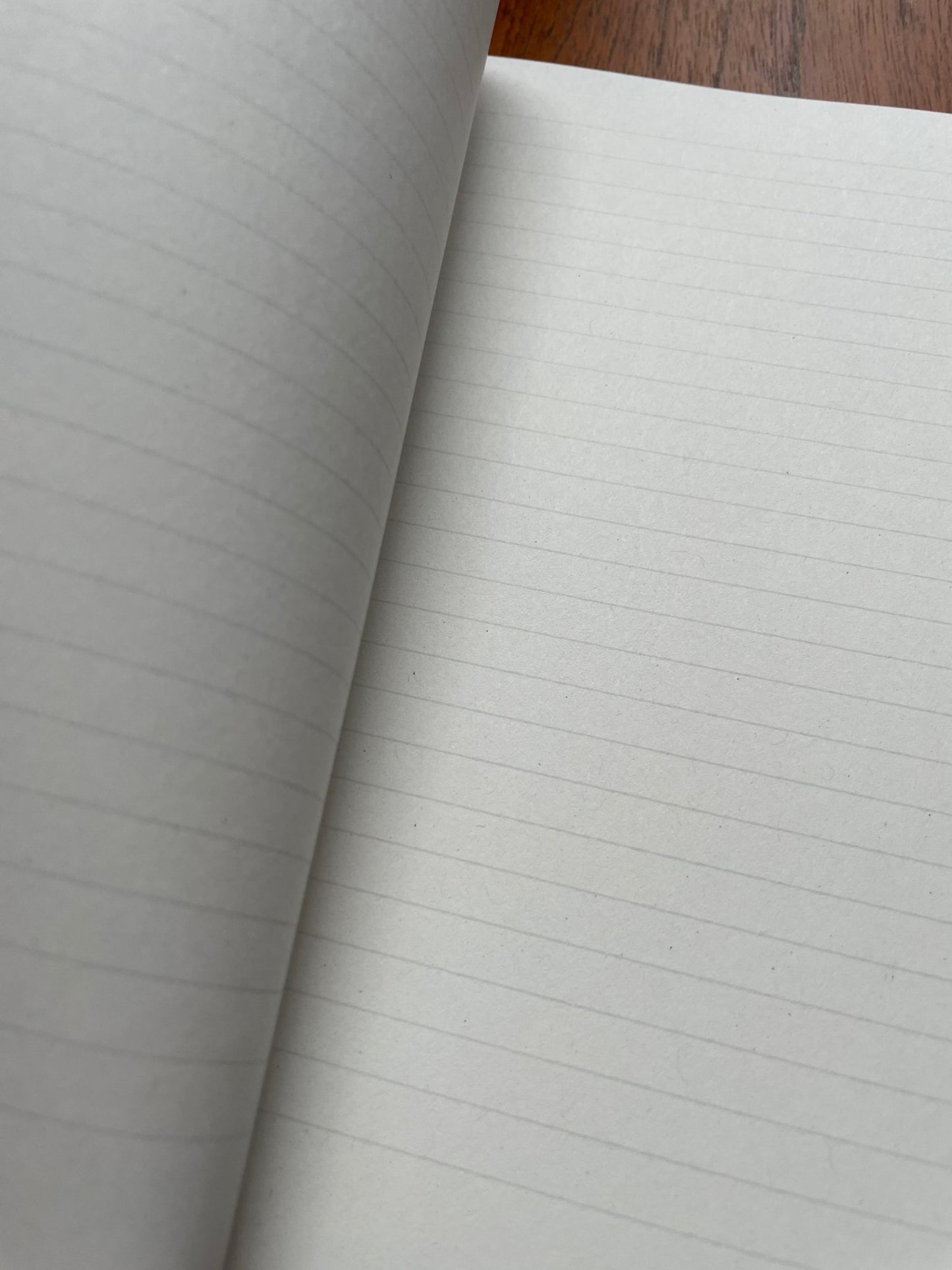 Kevin The Rabbit Notebook