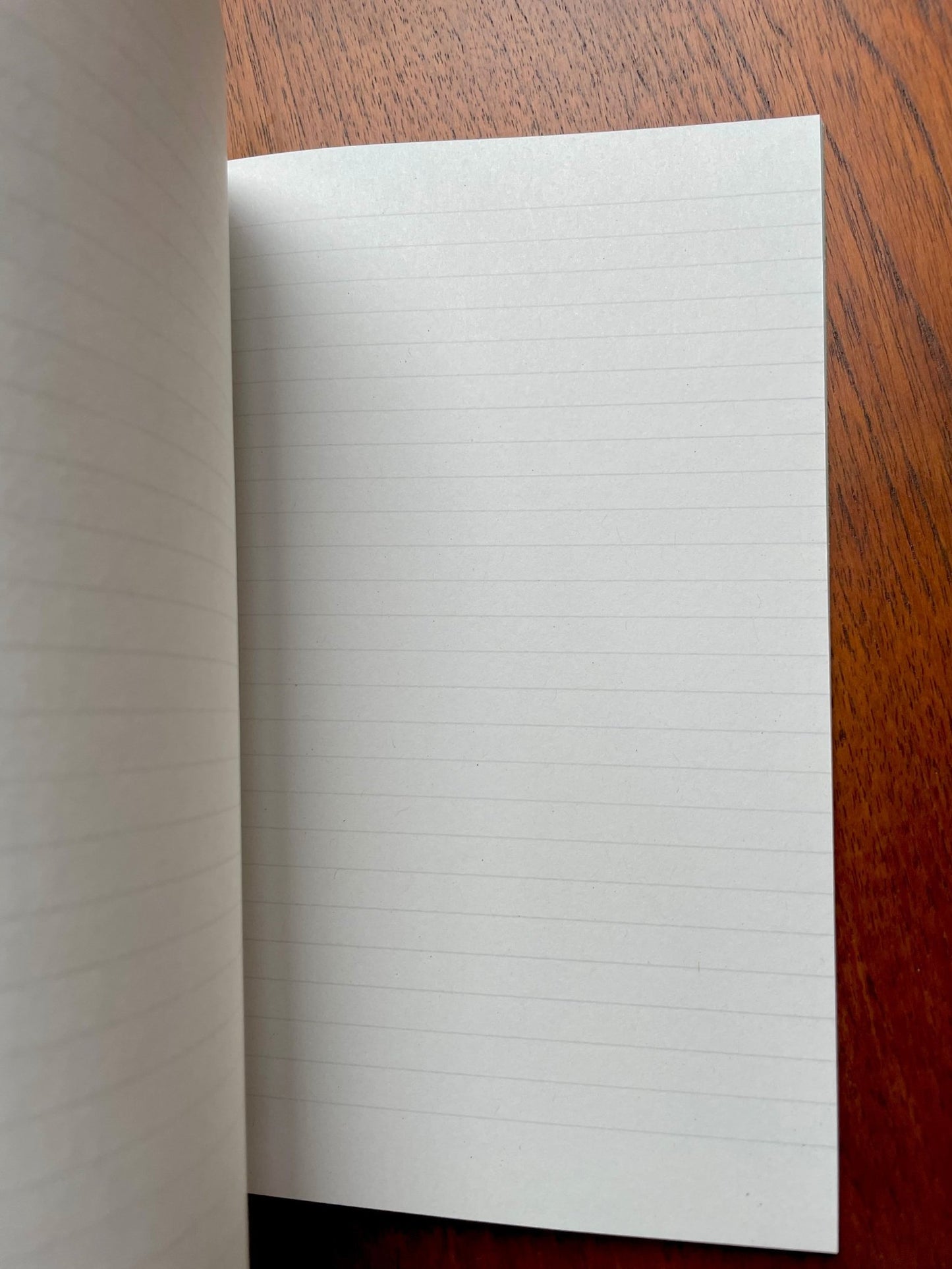 Steve The Pigeon Notebook